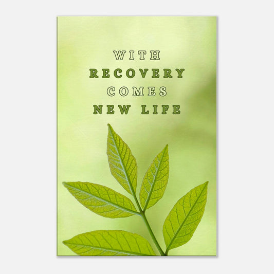 2be0b12d-d255-4456-abb1-afbacbb4f500