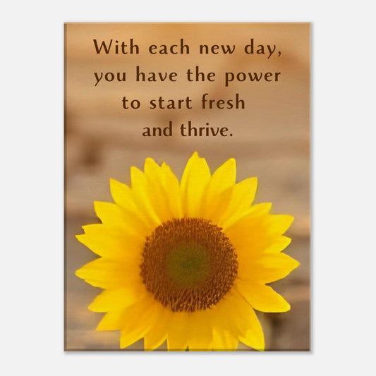 44d03572-4454-4a16-9bc2-0e72510763fe