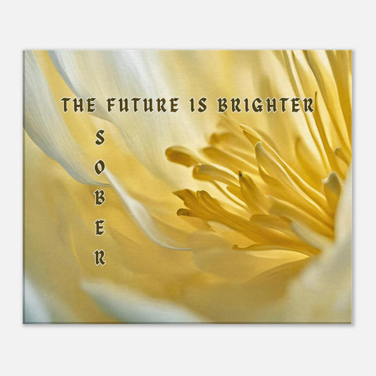 c28efb40-39ce-4c91-bcd7-9e1e94213495