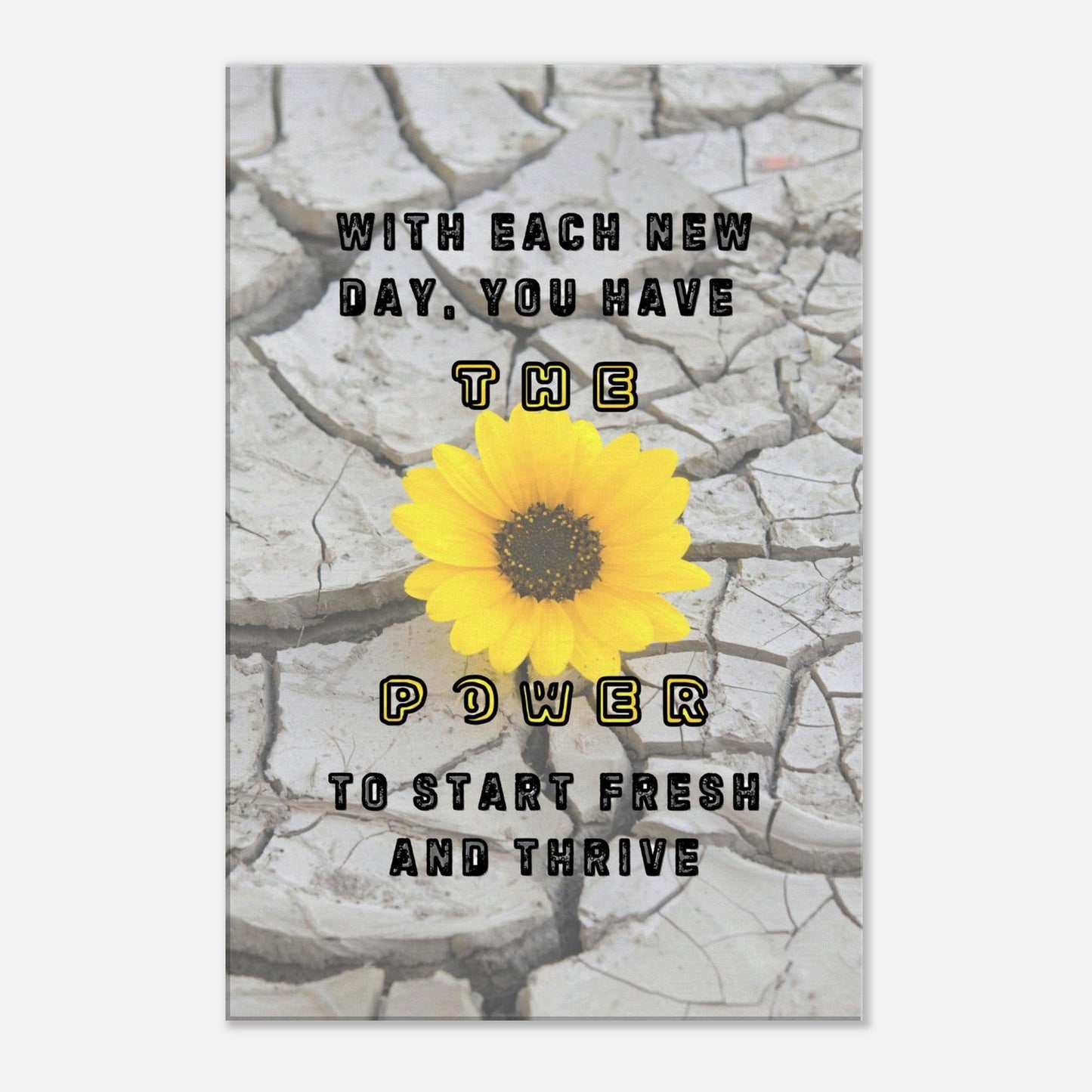 Cracked stone background with vibrant daisy and quote 'with each new day you have the power to start fresh and thrive.'