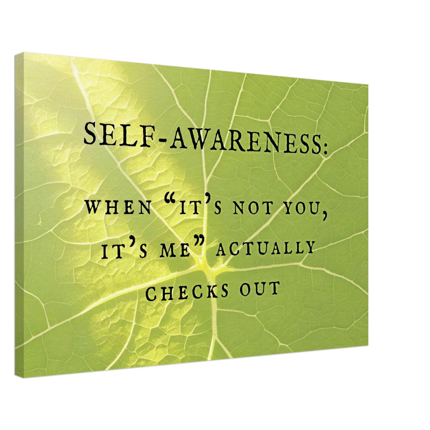 Soft green vine background with quote 'SELF-AWARENESS: It's Not You, It's Me' Actually Checks Out.' Warmth and renewal Wit.