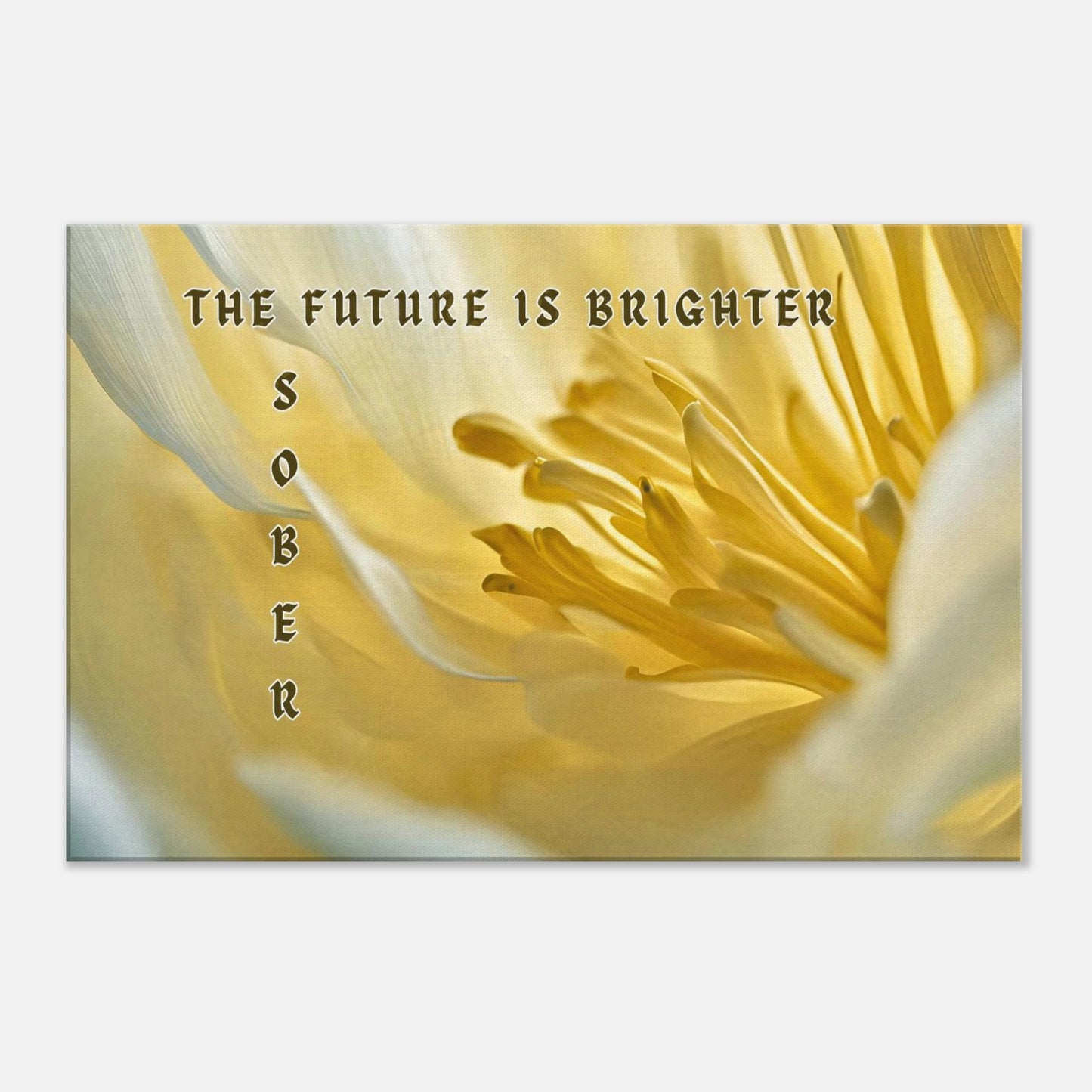 Bright yellow flower with recovery quote “The future is brighter sober” in elegant text layout