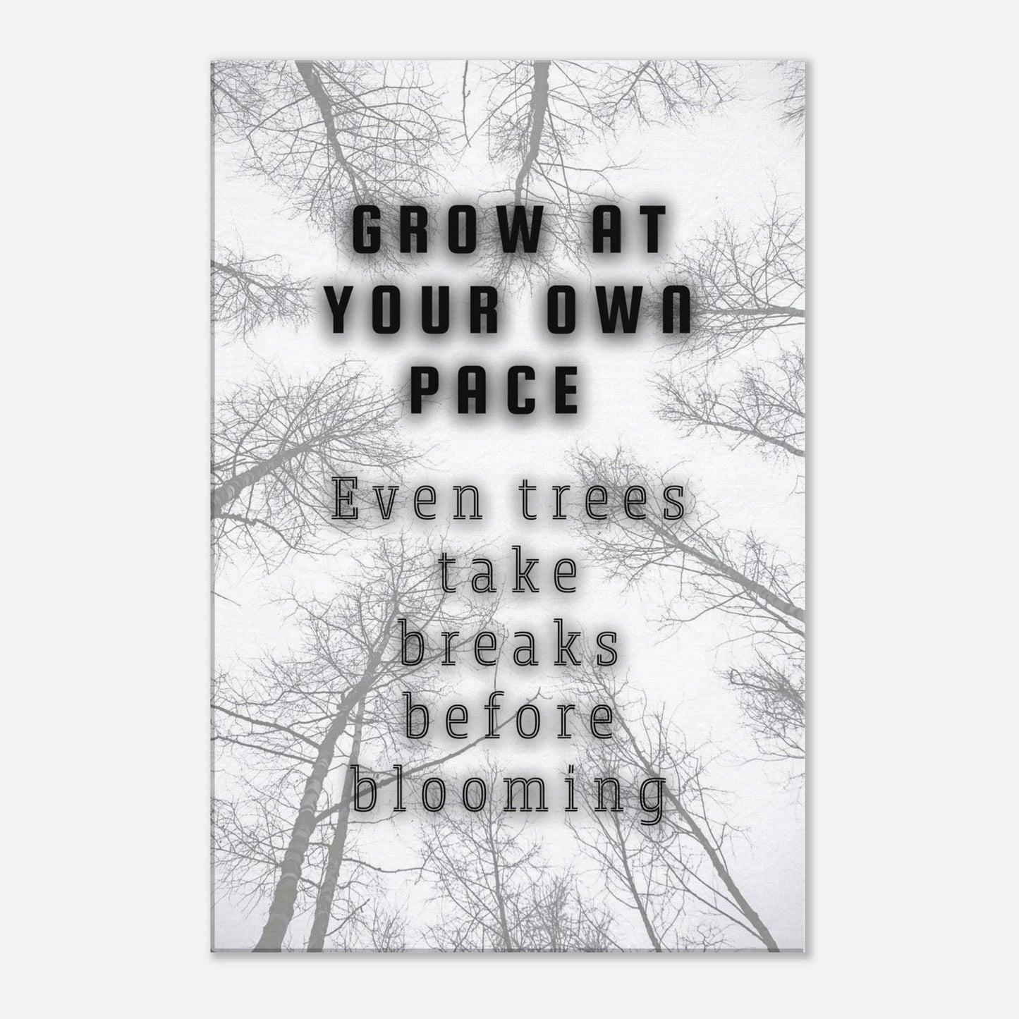 Bare branches and bold lettering on a clean canvas reminding viewers to grow at their own pace

