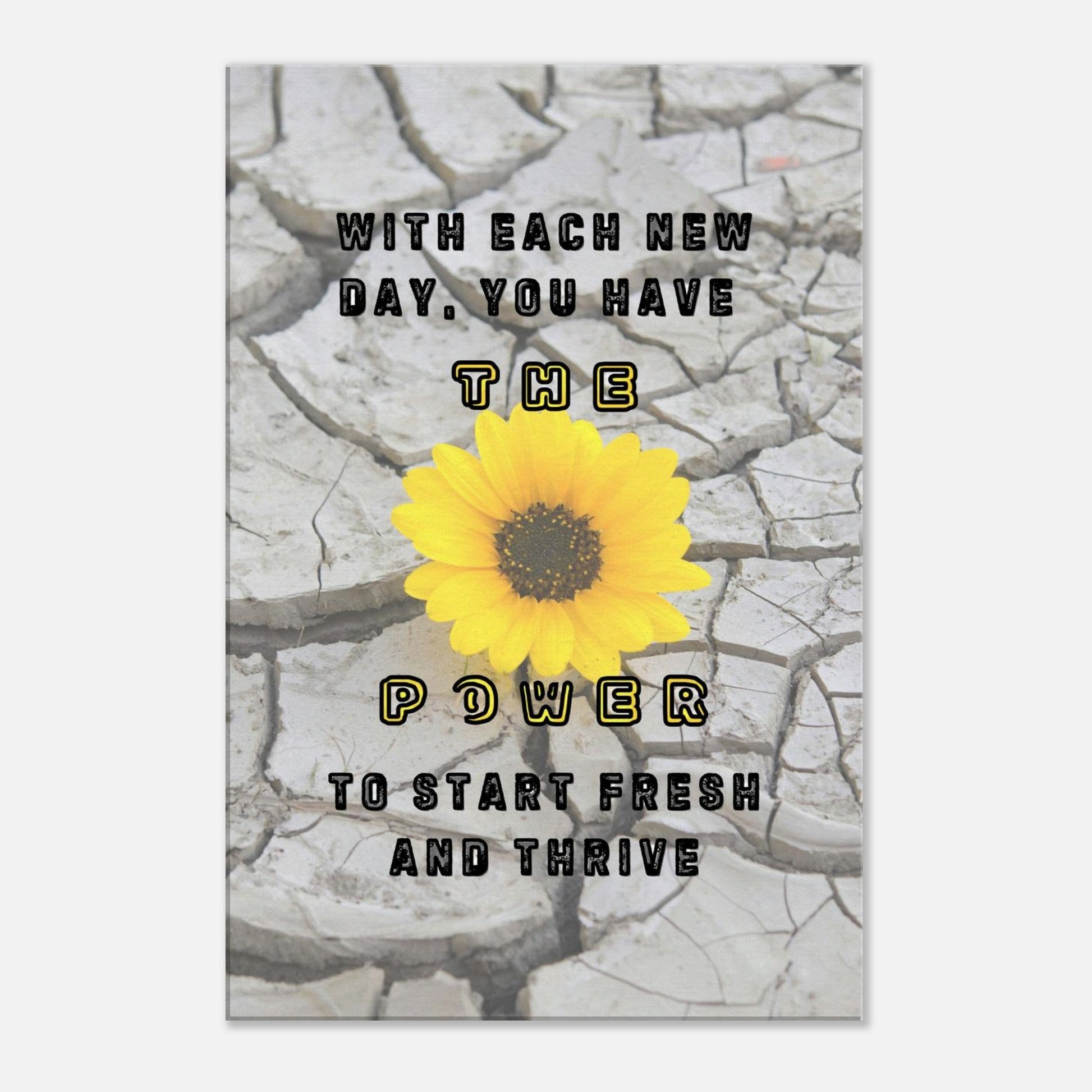 Cracked stone background with vibrant daisy and quote 'with each new day you have the power to start fresh and thrive.'
