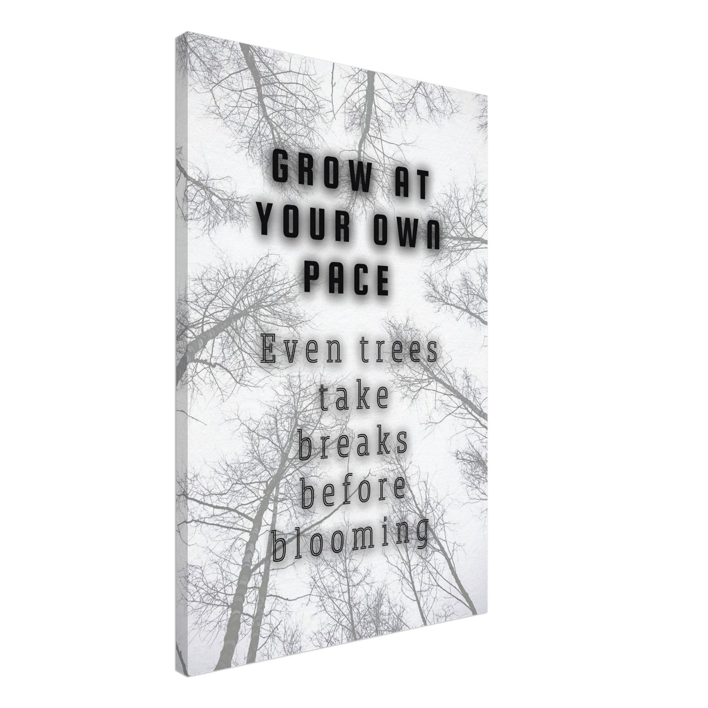 Black text quote over white background with leafless tree branches reaching upward

