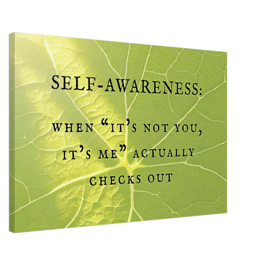 Soft green vine background with quote 'SELF-AWARENESS: It's Not You, It's Me' Actually Checks Out.' Warmth and renewal Wit. 