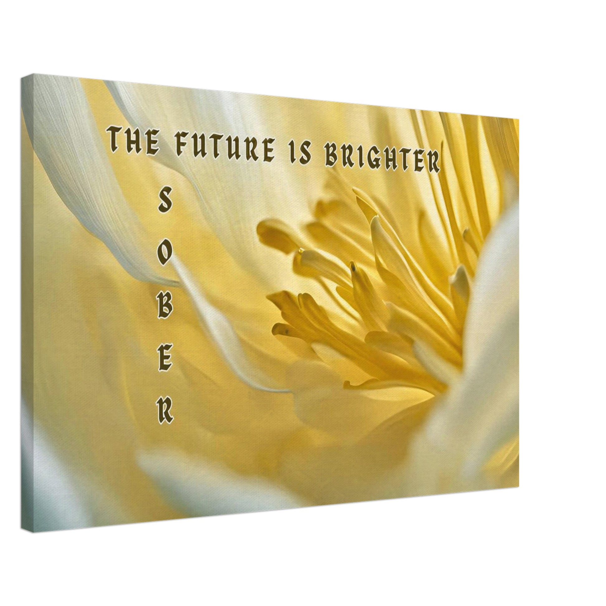 Sunlit flower with encouraging addiction recovery quote, perfect for warm, serene wall decor

